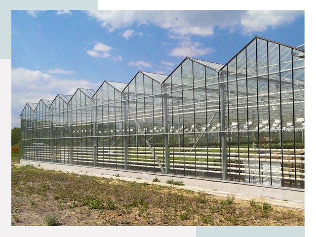 Строительство теплиц в Каменск-Шахтинский от 618 руб. за м²
